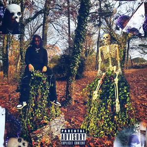 live like this (feat. Bantana & phoenix_)