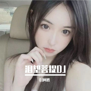 泪望菩提DJ