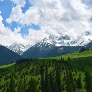 列车已到站 Prod.Gr33nart Beats