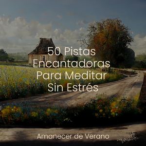 Lamentando la Tranquilidad