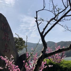 山丘Cover李宗盛（翻自 老虎欧巴）