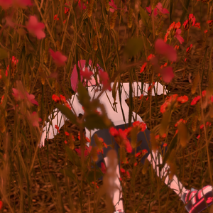 they asked me how i got there, i told them "bitch, i tried hard"