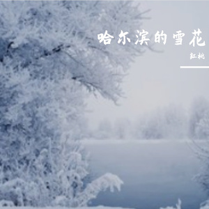 哈尔滨的雪花