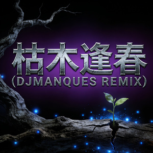 枯木逢春(DJMANQUES REMIX)