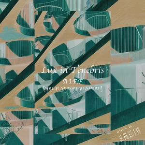 Lux in Tenebris (Home)