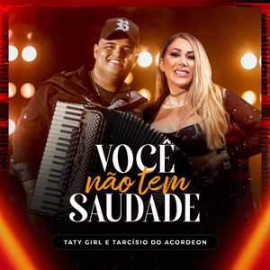 Você Não Tem Saudade (Ao Vivo)