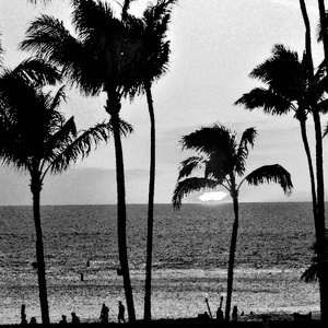 hawaii sunset cruise