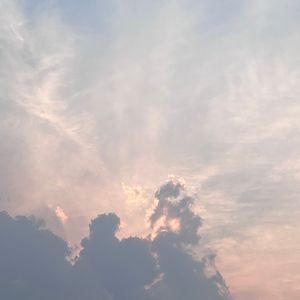沿路灯成长