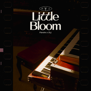 Little Bloom