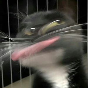 夜空中最亮的星