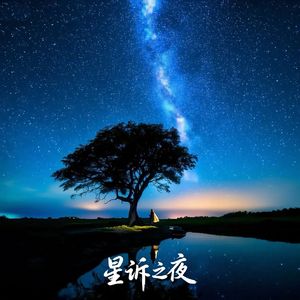 星诉之夜