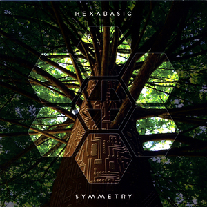 Scarab