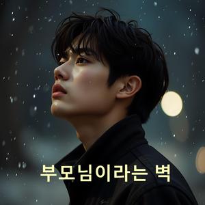 부모님이라는 벽
