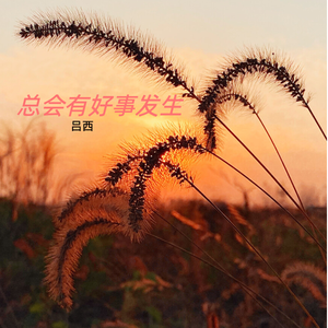 总会有好事发生（Sample This 中文版）