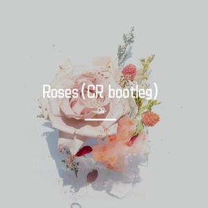 The Chainsmokers - Roses(CR bootleg)