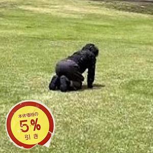 諏訪郡原村スターリンク前