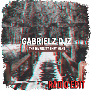 The Diversity T Want (Radio Edit)