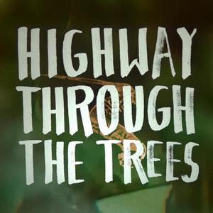 highway through the trees