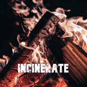 Incinerate