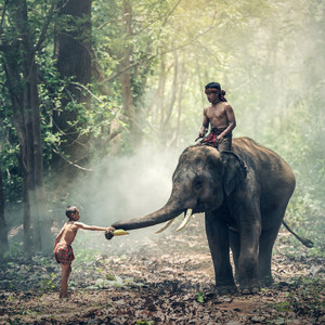 The Deep Jungle Drums