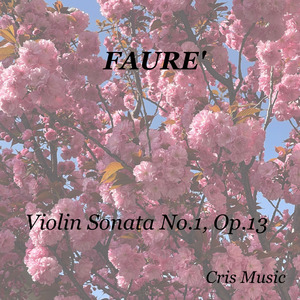 Faurè: Violin Sonata No.1, Op.13: I. Allegro molto