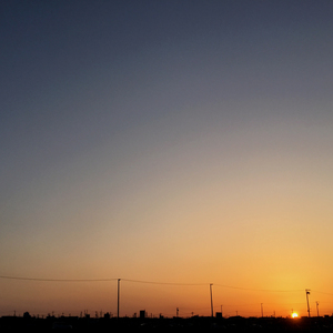 振られても 振られても