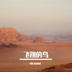 飞翔的鸟PROD BY XVIBE