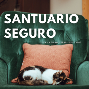Rapsodia De Piano Para La Perrrrrfecta Relajación