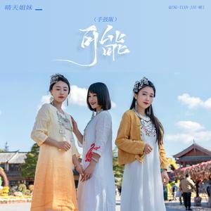 可能 (手鼓版伴奏)