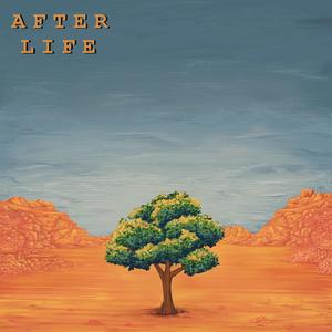 Afterlife
