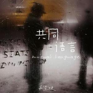 共同语言 (DJ版)