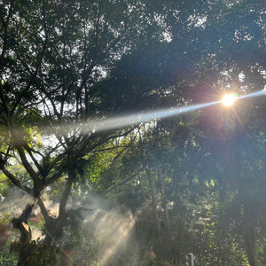 你在不在（DJ版）