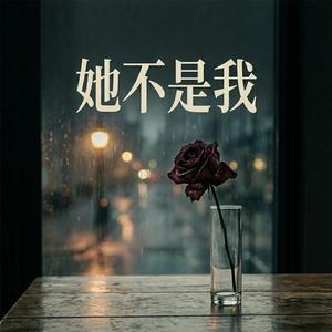 她不是我