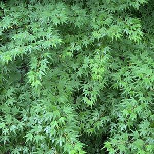 Up to You 你说了算