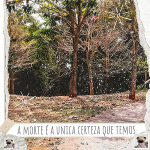 Não mudamos