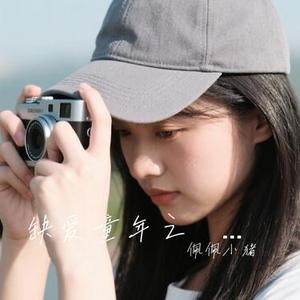 缺爱童年之殇  (慢节奏)  (佩佩小猪 Remix)