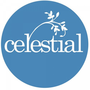 The Drummer (Original Mix)