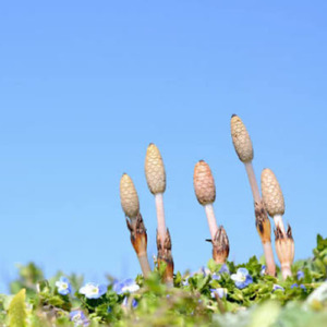 春の風好きだよ