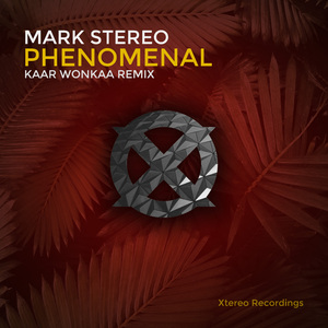 Phenomenal (Kaar Wonkaa Remix)