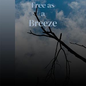 She She Little Sheila