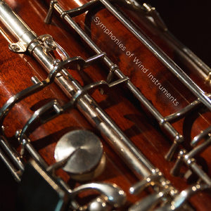 Hindemith: Symphony in B flat I. Moderately fast, with vigor