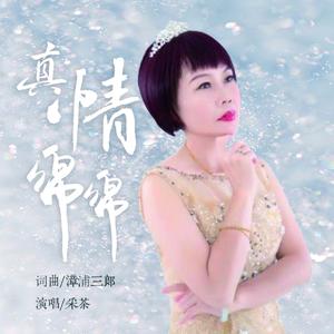 真情绵绵