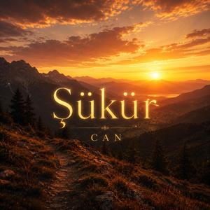 Şükür