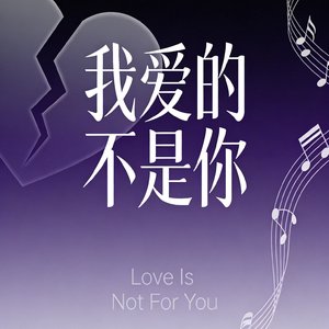 我爱的不是你