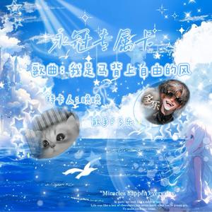 马背上自由的风