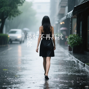 说好不再打扰你