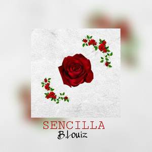 Sencilla