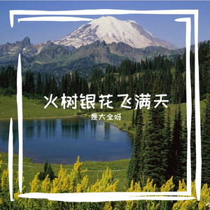 火树银花飞满天