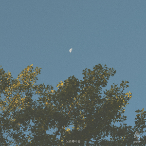 달빛에 빛나고, 너에게 안기고