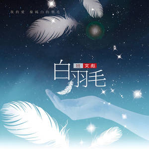 白羽毛 (广场舞版)